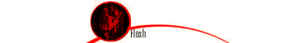 Flash